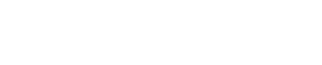 digiverificationLogo